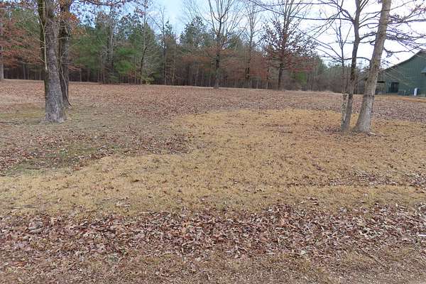 0.6 Acres of Residential Land for Sale in Taylor, Arkansas