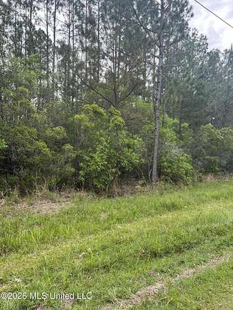 3.75 Acres of Residential Land for Sale in Picayune, Mississippi