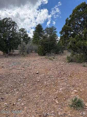 0.35 Acres of Residential Land for Sale in Show Low, Arizona