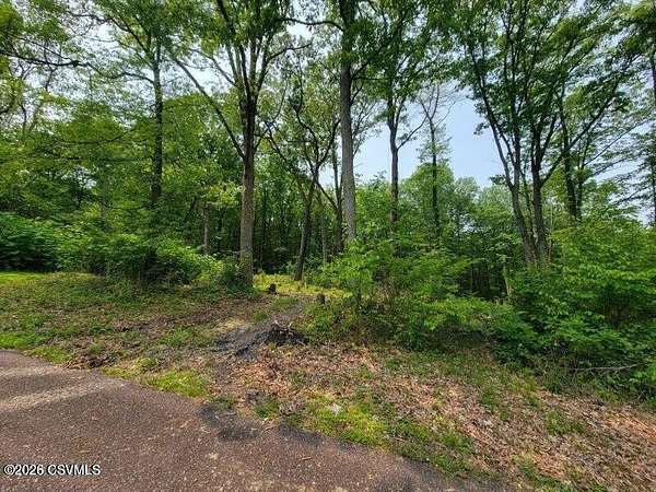 0.55 Acres of Residential Land for Sale in Mount Carmel, Pennsylvania