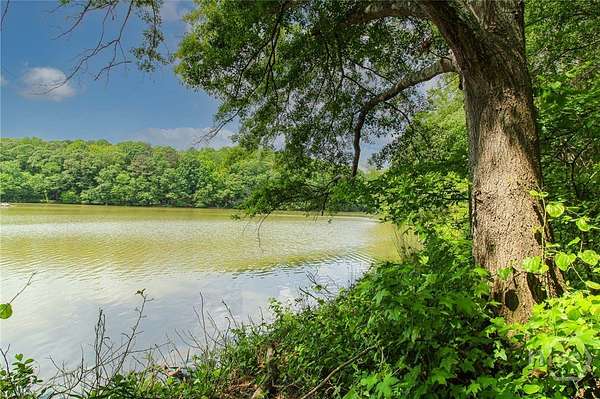 45.7 Acres of Recreational & Residential Land for Sale in Statham, Georgia
