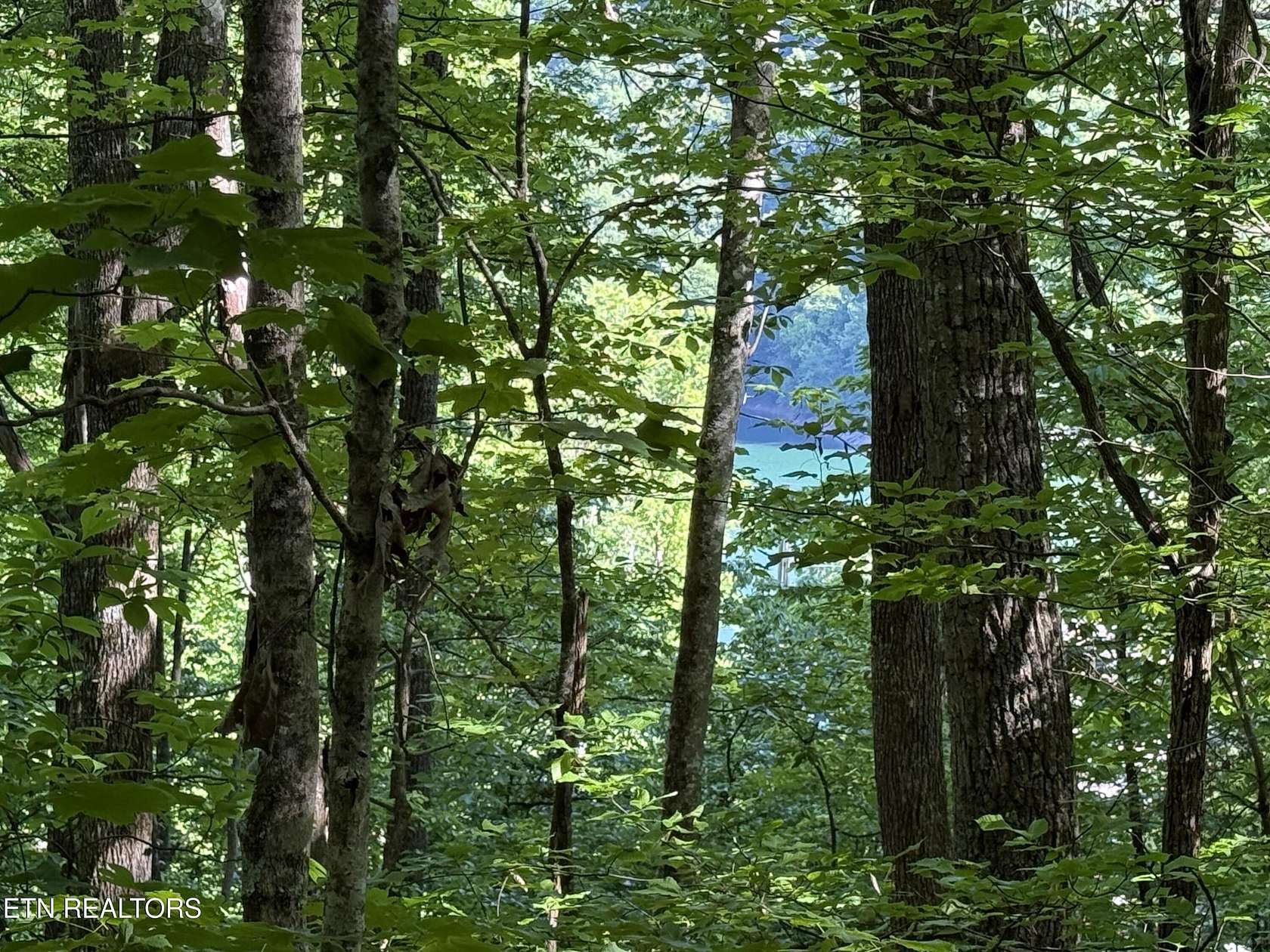 2.68 Acres of Residential Land for Sale in Sharps Chapel, Tennessee