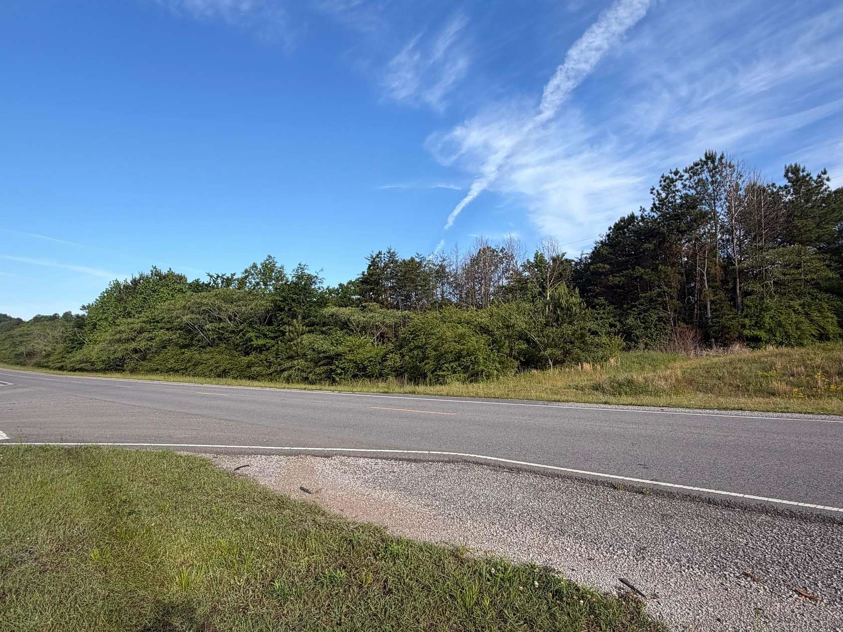 13 Acres of Land for Sale in Oakman, Alabama