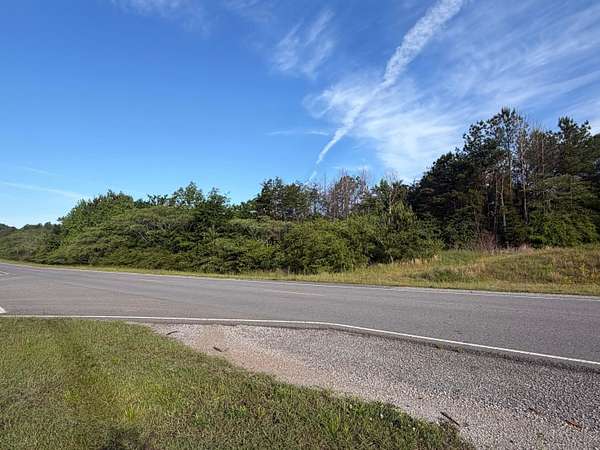 13 Acres of Land for Sale in Oakman, Alabama