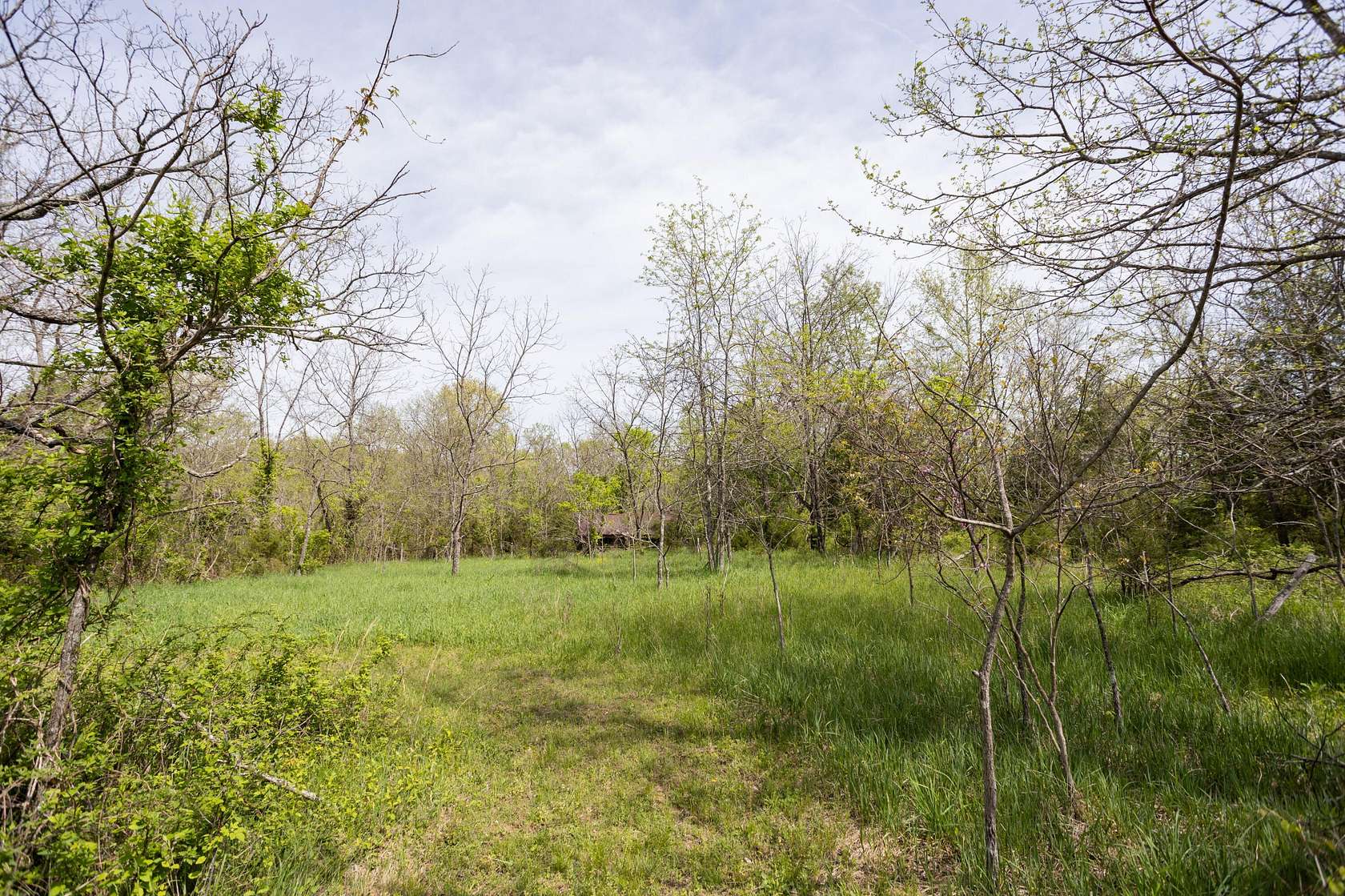 46.6 Acres of Recreational Land for Sale in Hartville, Missouri