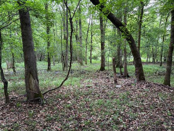 10 Acres of Recreational Land for Sale in Fort Towson, Oklahoma