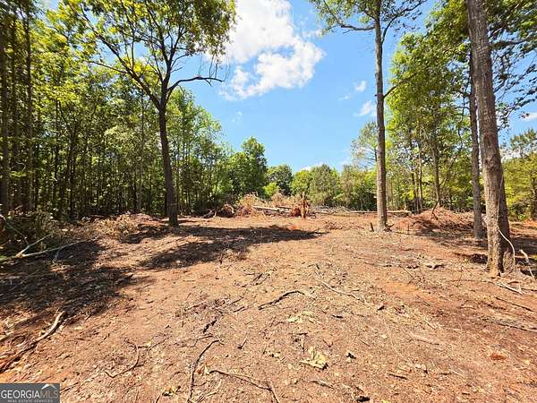 10.2 Acres of Land for Sale in Barnesville, Georgia