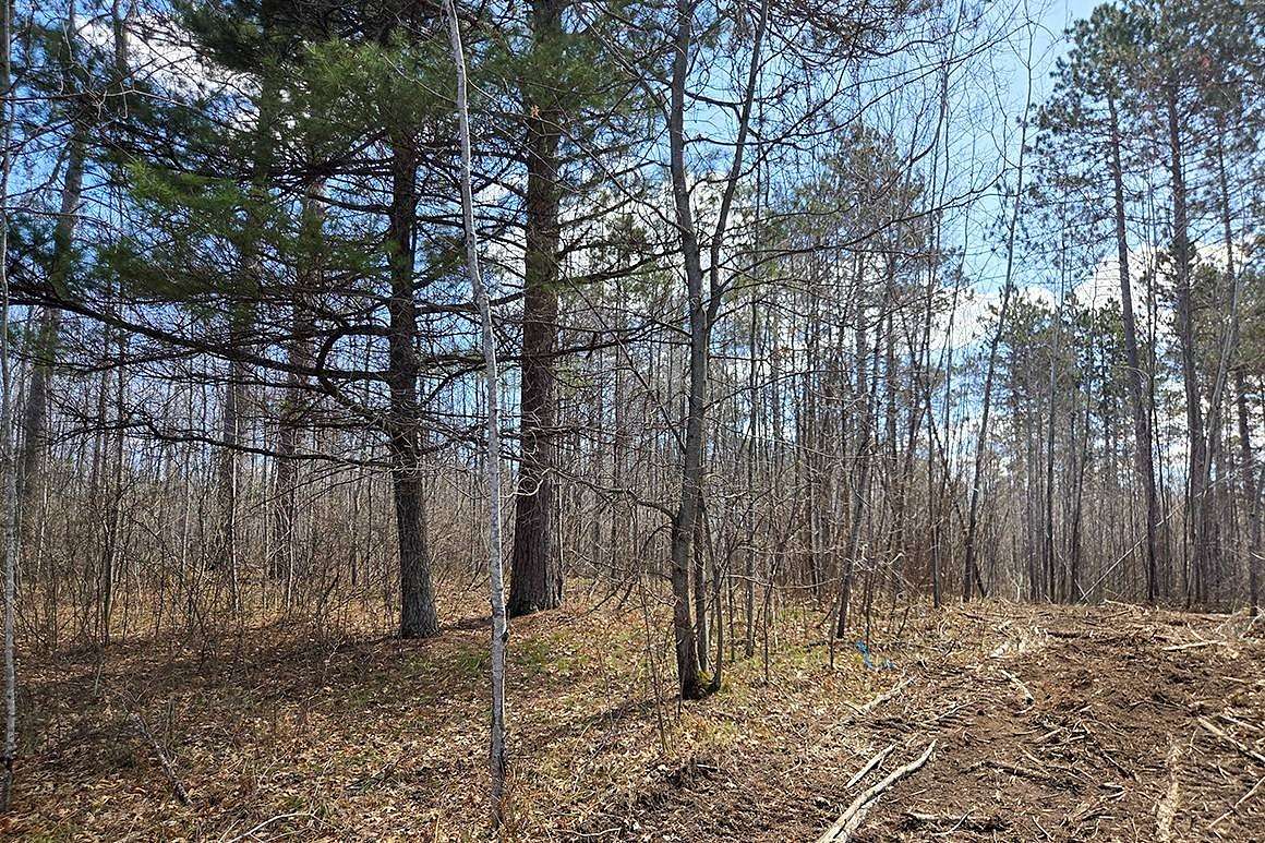 10 Acres of Recreational Land for Sale in Tomahawk, Wisconsin