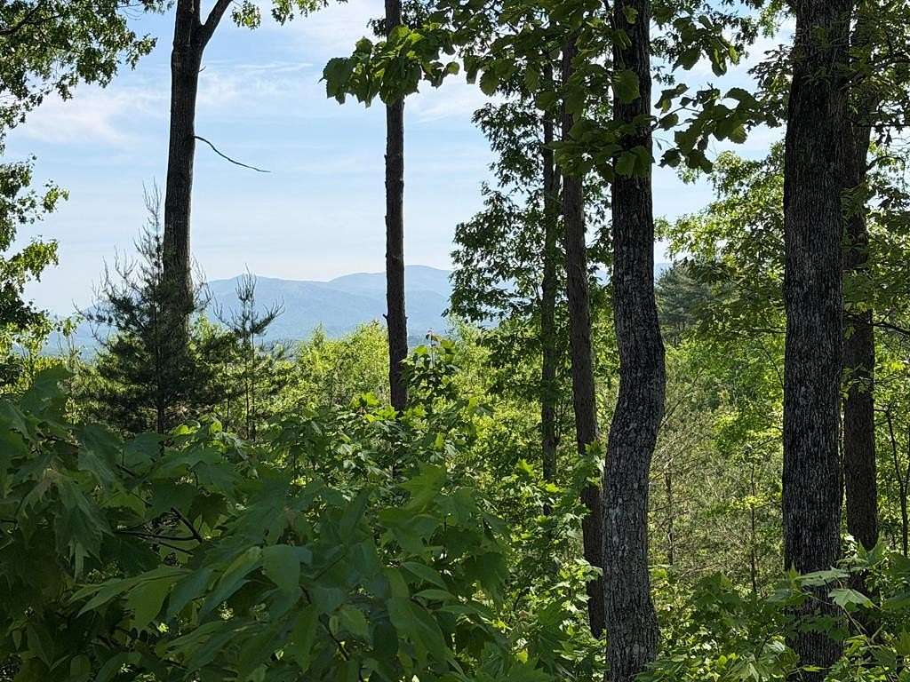 0.25 Acres of Land for Sale in Ellijay, Georgia