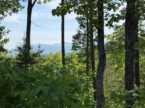 0.25 Acres of Land for Sale in Ellijay, Georgia