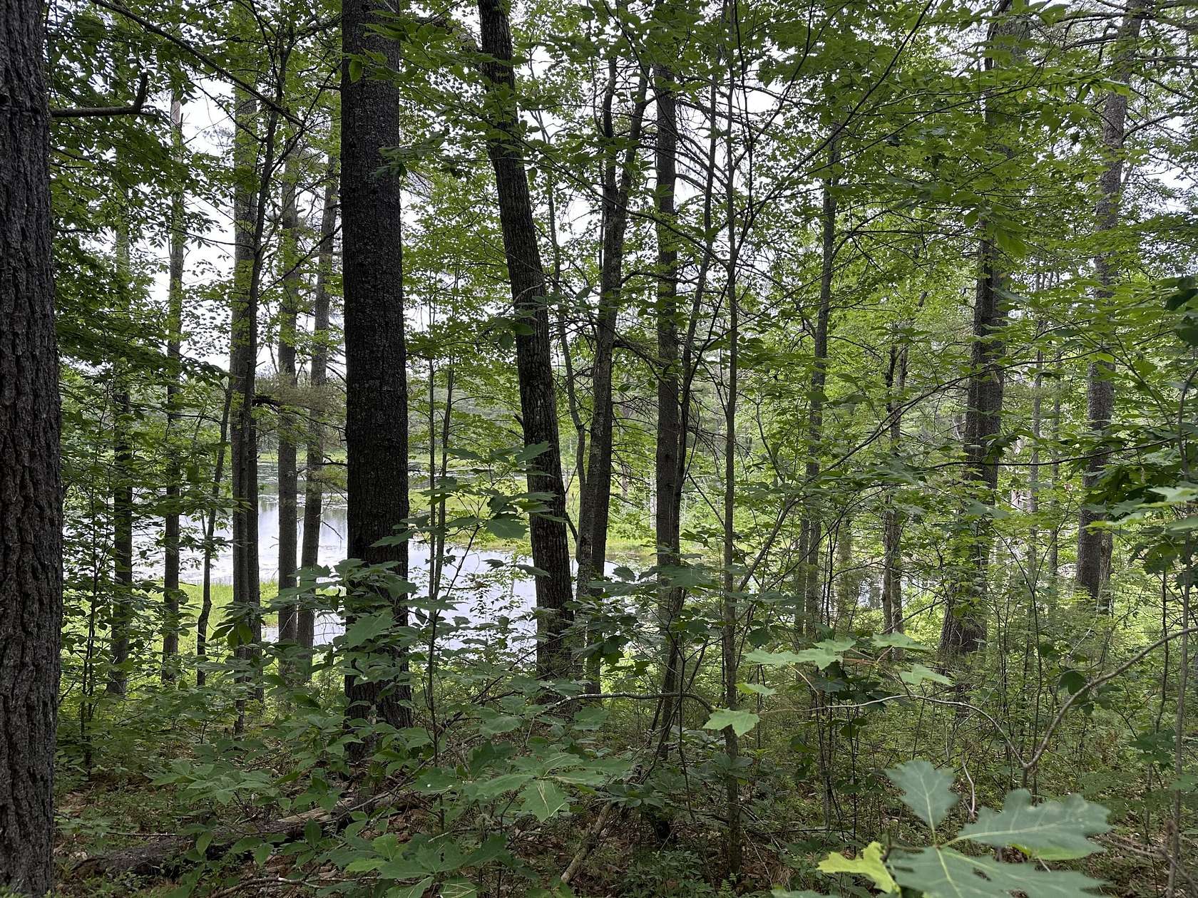 4.65 Acres of Land for Sale in Shapleigh, Maine