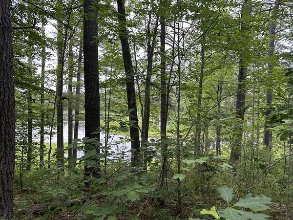 4.65 Acres of Land for Sale in Shapleigh, Maine