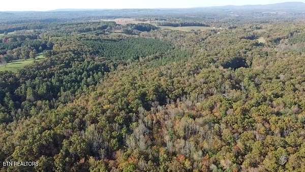 42 Acres of Recreational & Residential Land for Sale in Grandview, Tennessee