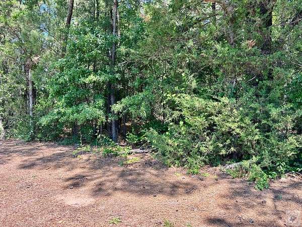 8.17 Acres of Residential Land for Sale in Bloomburg, Texas