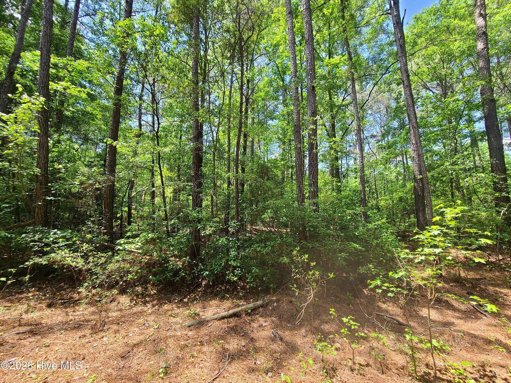 0.46 Acres of Residential Land for Sale in Kinston, North Carolina