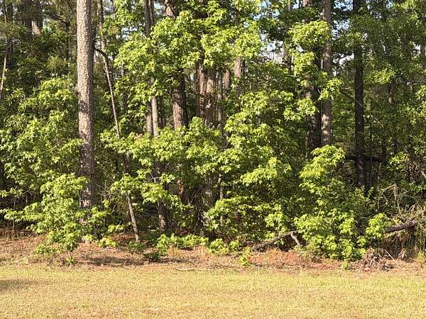 5.83 Acres of Land for Sale in Hephzibah, Georgia