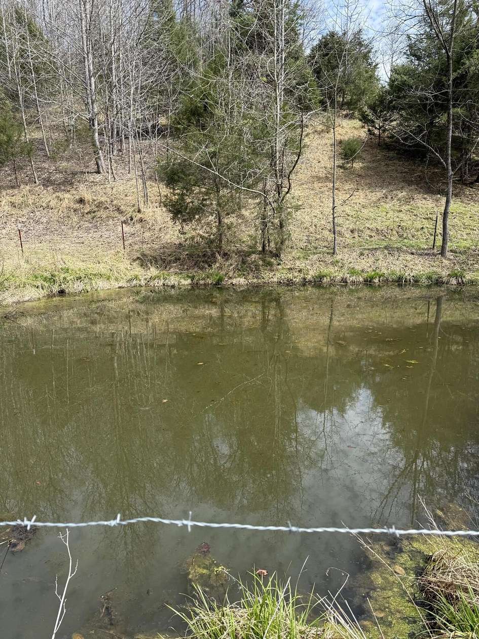 44 Acres of Land for Sale in Kyles Ford, Tennessee
