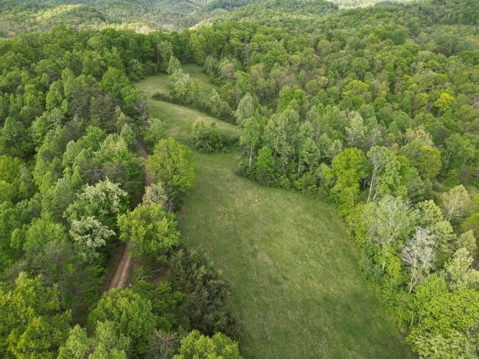 40 Acres of Agricultural & Residential Land for Sale in Walton, West Virginia