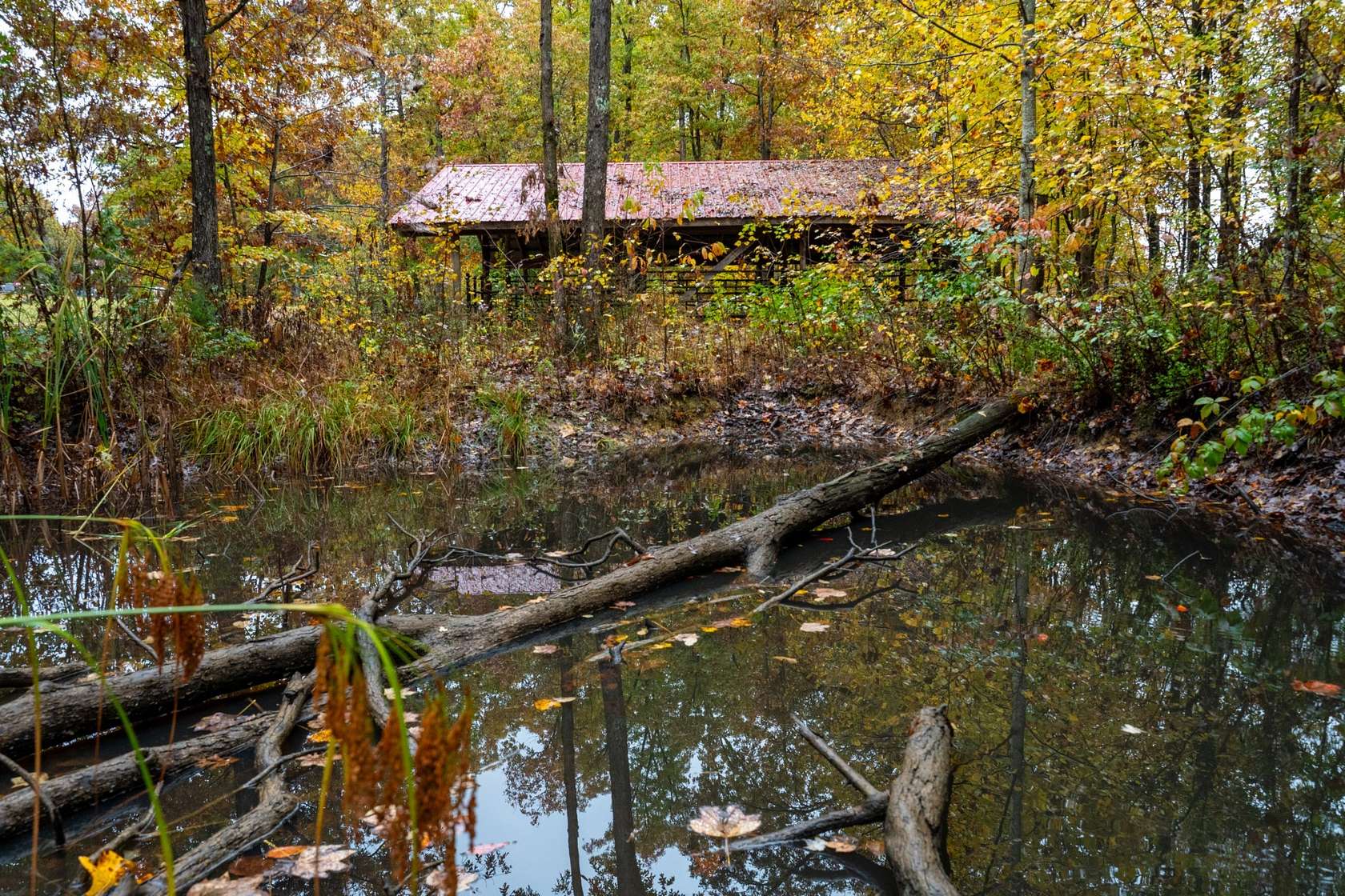 2.89 Acres of Land for Sale in Jamestown, Tennessee