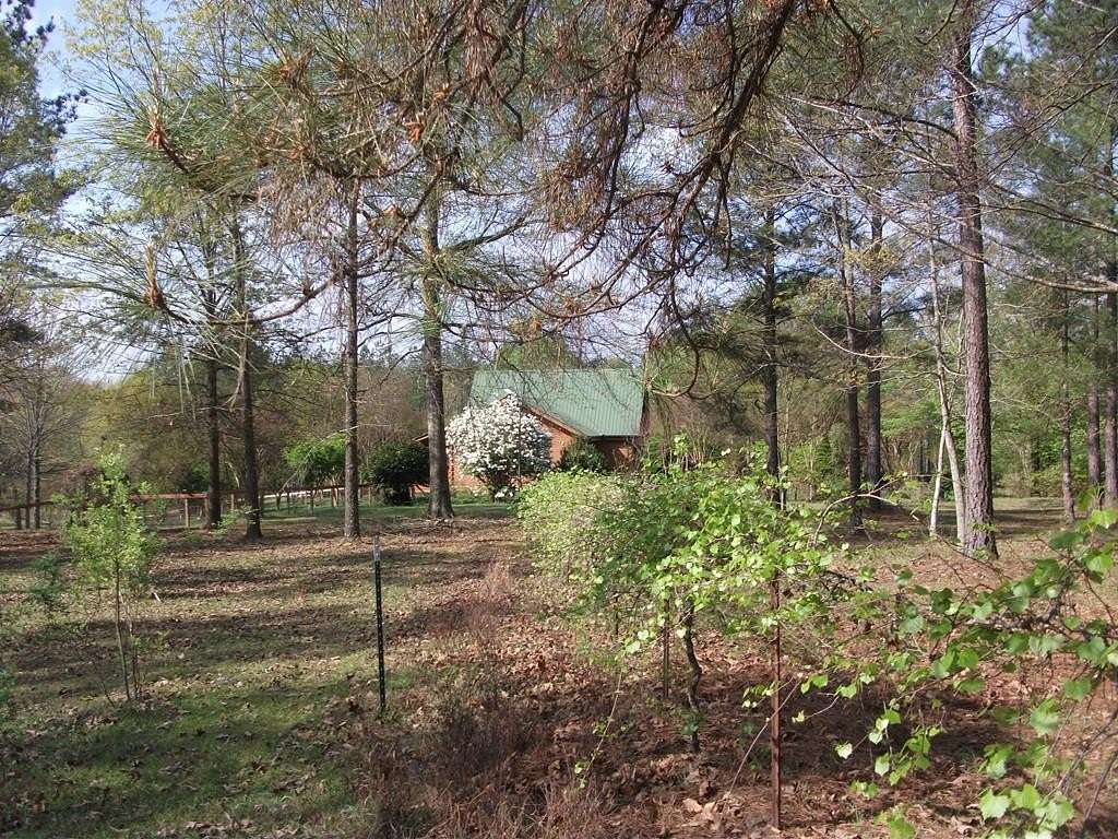 14.2 Acres of Land with Home for Sale in Buena Vista, Georgia
