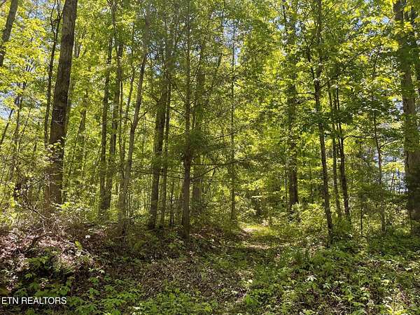 26.5 Acres of Land for Sale in Oneida, Tennessee