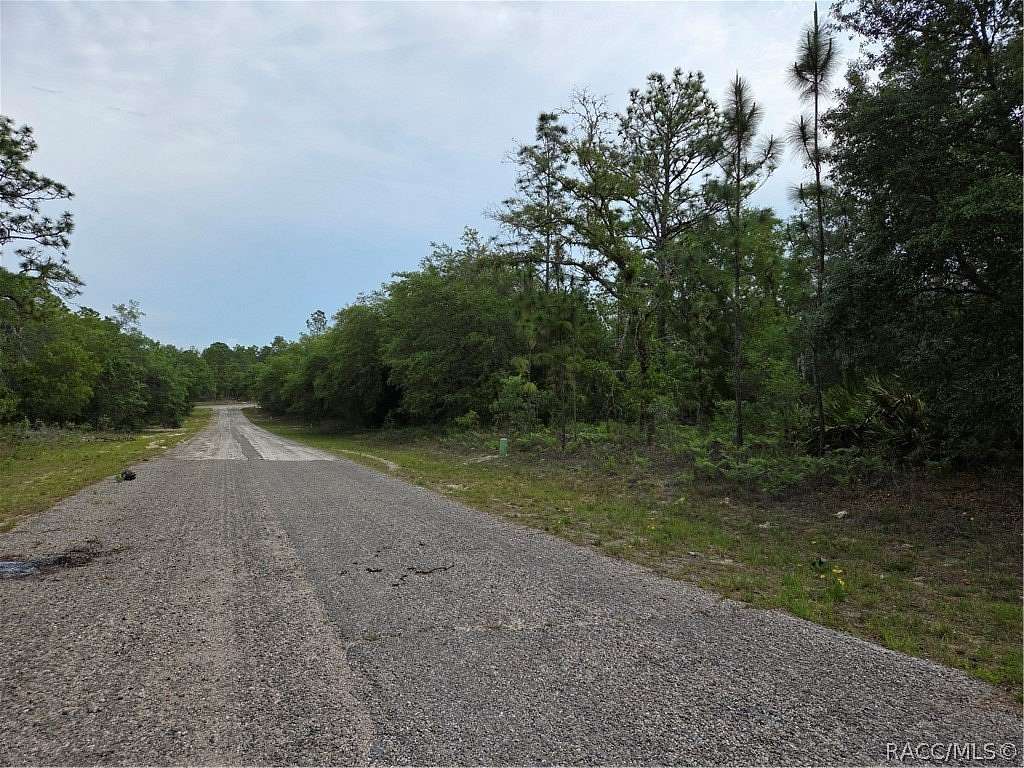 0.23 Acres of Residential Land for Sale in Dunnellon, Florida