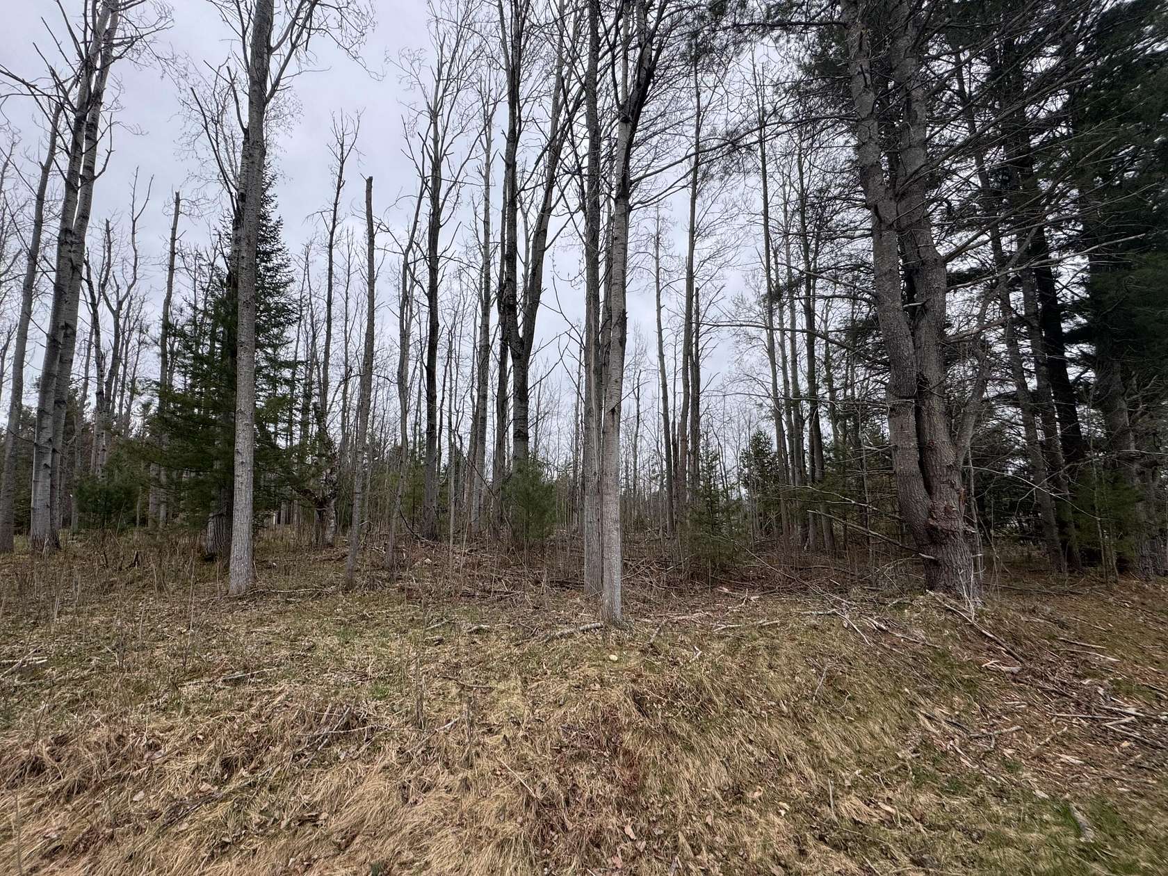 0.48 Acres of Residential Land for Sale in Indian River, Michigan