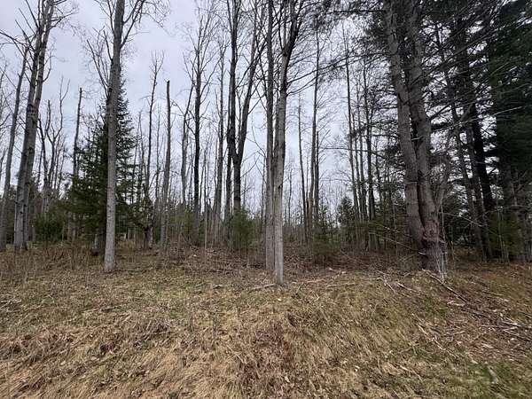 0.48 Acres of Residential Land for Sale in Indian River, Michigan