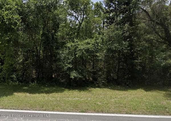 2.1 Acres of Residential Land for Sale in Nobleton, Florida