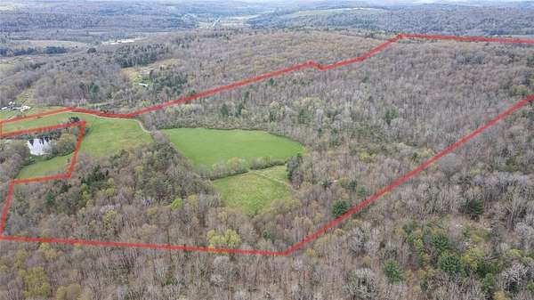 84.9 Acres of Recreational & Residential Land for Sale in Chenango Forks, New York