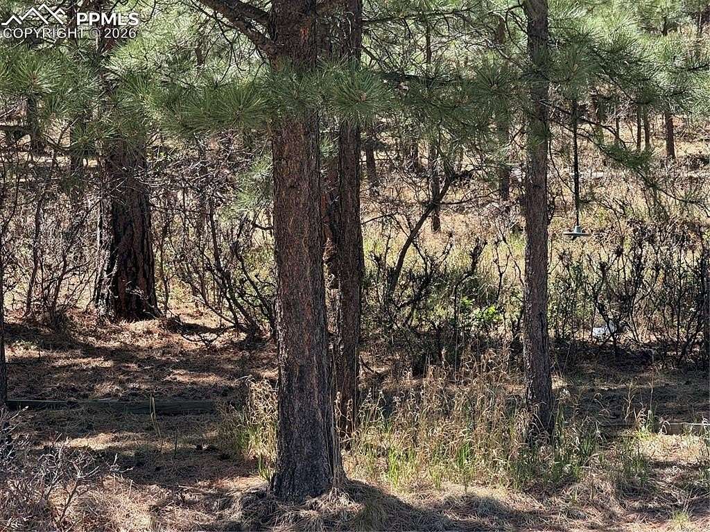 0.49 Acres of Residential Land for Sale in Colorado Springs, Colorado