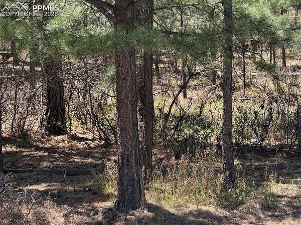 0.49 Acres of Residential Land for Sale in Colorado Springs, Colorado