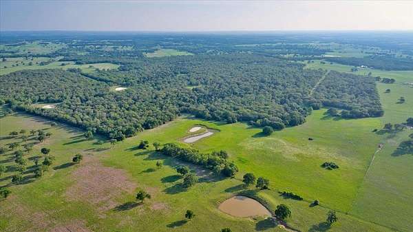 176 Acres of Recreational Land for Sale in Thorndale, Texas