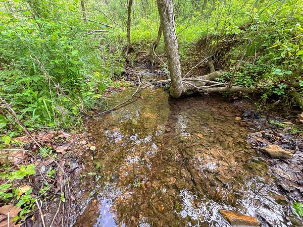 21.3 Acres of Recreational Land for Sale in Galena, Missouri
