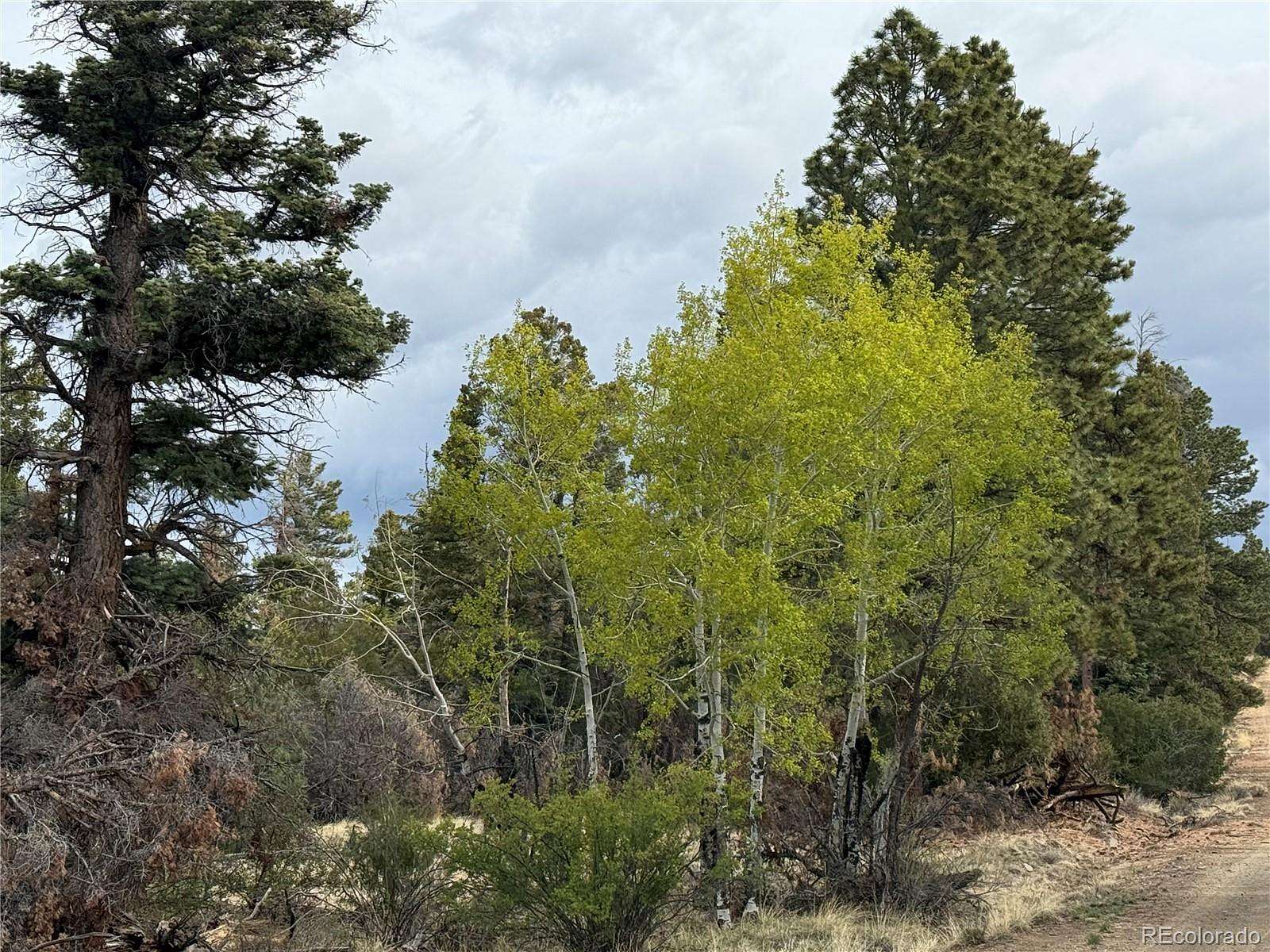 40.4 Acres of Land for Sale in Fort Garland, Colorado