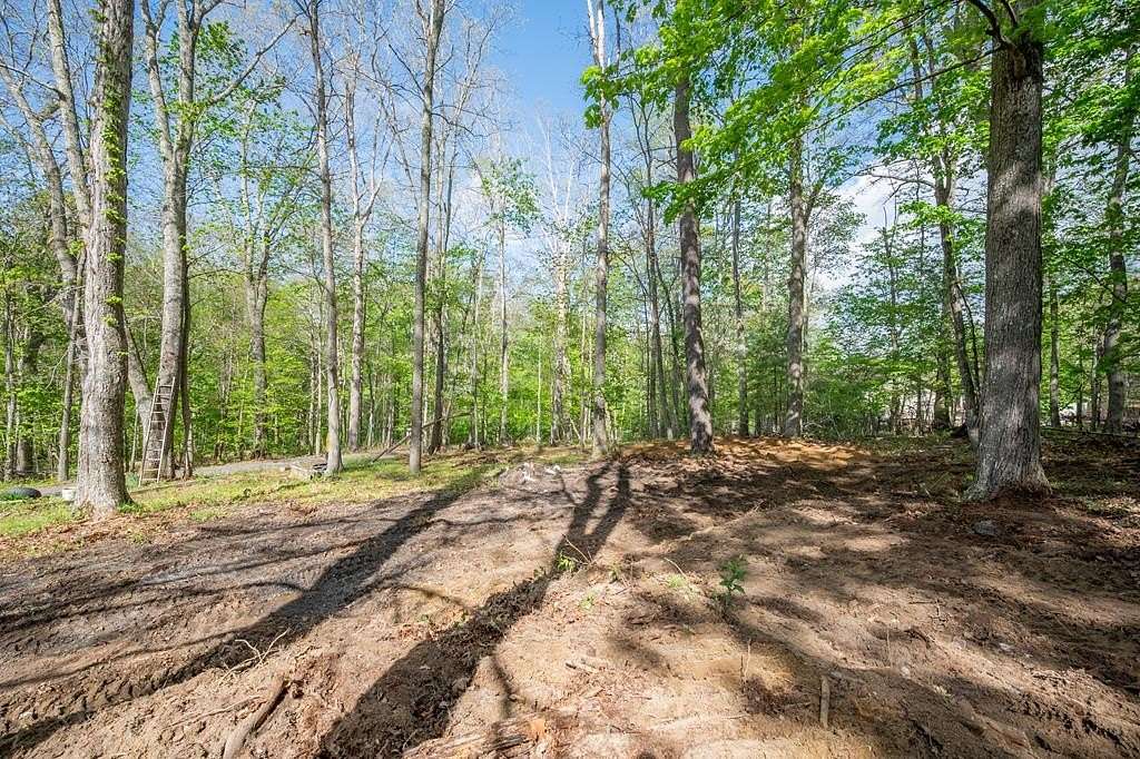 12.5 Acres of Recreational & Residential Land for Sale in Bland, Virginia