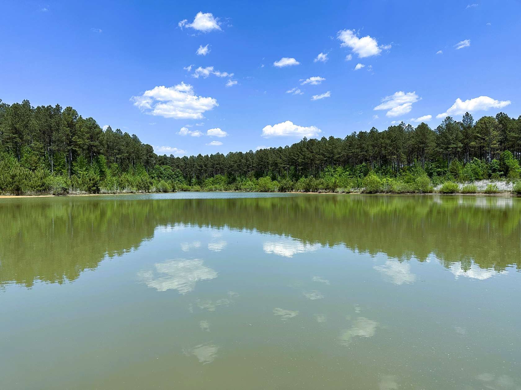 186 Acres of Recreational Land for Sale in Edgefield, South Carolina
