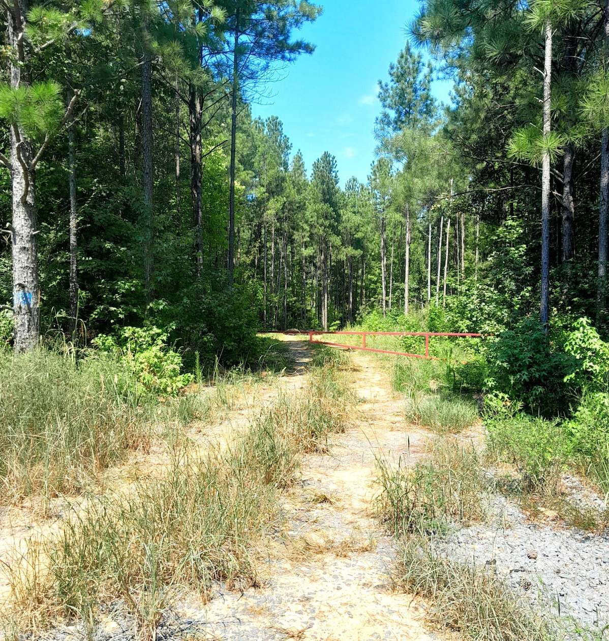 186 Acres of Recreational Land for Sale in Wadesboro, North Carolina