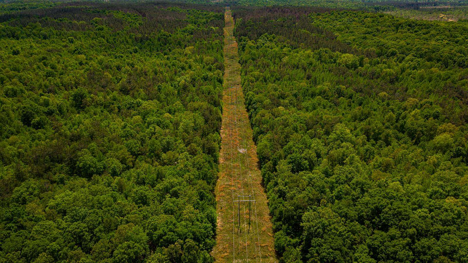 60 Acres of Recreational Land for Sale in Pittsboro, Mississippi