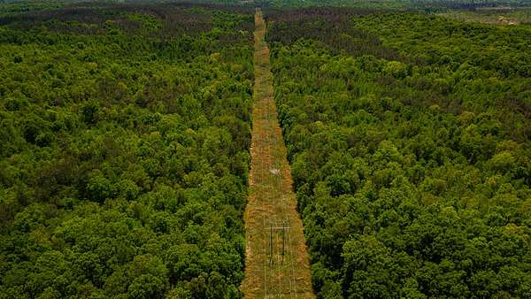 60 Acres of Recreational Land for Sale in Pittsboro, Mississippi