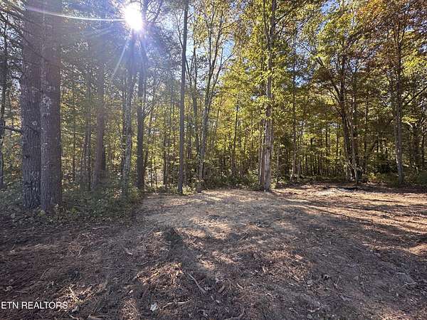 18.6 Acres of Land for Sale in Allardt, Tennessee