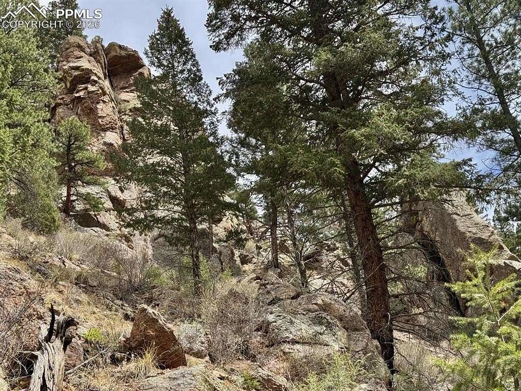 10.5 Acres of Recreational Land for Sale in Woodland Park, Colorado