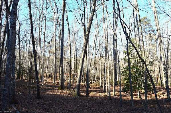 118 Acres of Recreational & Residential Land for Sale in Danbury, North Carolina