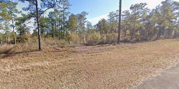 1 Acre of Residential Land for Sale in Bainbridge, Georgia