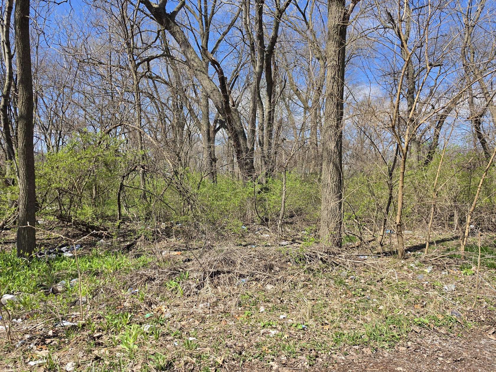0.5 Acres of Residential Land for Sale in Gary, Indiana