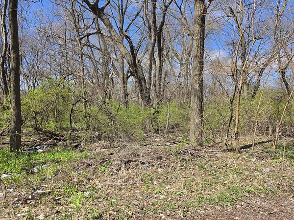 0.5 Acres of Residential Land for Sale in Gary, Indiana