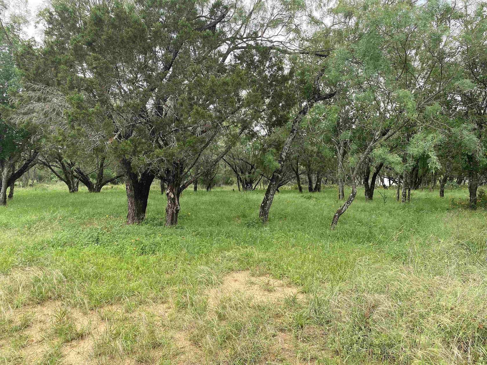 0.11 Acres of Land for Sale in Cottonwood Shores, Texas