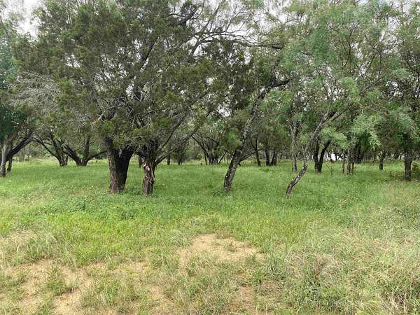 0.11 Acres of Land for Sale in Cottonwood Shores, Texas