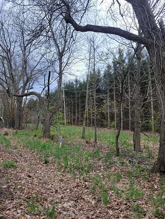 0.7 Acres of Residential Land for Sale in Richland, Michigan