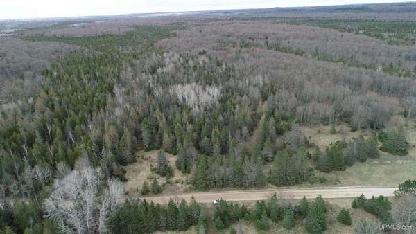 20 Acres of Recreational Land for Sale in Rapid River, Michigan
